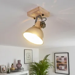 Lampes Industrielles-hofstein Plafonnier Orny Brun, Zingué, 1 lumière