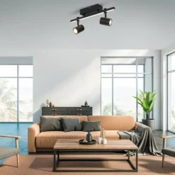 Luminaires Paul Neuhaus Plafonnier Paul Neuhaus BARIK LED Noir, 2 lumières* Spots Et Projecteurs