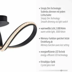 Luminaires Paul Neuhaus Plafonnier Paul Neuhaus BRILLA LED Noir, 1 lumière* Éclairage Led