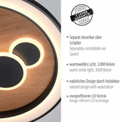 Lampes En Bois-Luminaires Paul Neuhaus Plafonnier Paul Neuhaus ELIZA LED Écru, 2 lumières