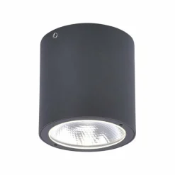 Luminaires Paul Neuhaus Plafonnier Paul Neuhaus GEORG LED Anthracite, 1 lumière