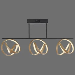 Luminaires Paul Neuhaus Plafonnier Paul Neuhaus LOOP LED Laiton, Noir, 3 lumières, Télécommandes* Éclairage Led