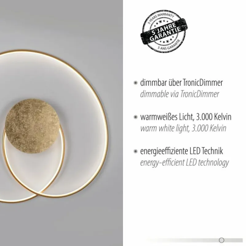 Lampes Dorées-Luminaires Paul Neuhaus Plafonnier Paul Neuhaus NASTRO LED Or, 1 lumière