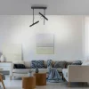 Luminaires Paul Neuhaus Plafonnier Paul Neuhaus PURE-TUTUA LED Noir, 2 lumières* Éclairage Led