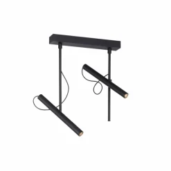 Luminaires Paul Neuhaus Plafonnier Paul Neuhaus PURE-TUTUA LED Noir, 2 lumières* Éclairage Led