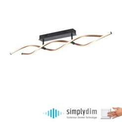 Lampes Dorées-Luminaires Paul Neuhaus Plafonnier Paul Neuhaus POLINA LED Noir, 1 lumière