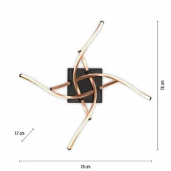 Lampes Dorées-Luminaires Paul Neuhaus Plafonnier Paul Neuhaus POLINA LED Noir, 1 lumière
