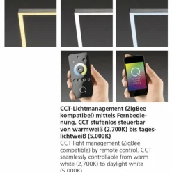 Paul Neuhaus Q-Serie Plafonnier Paul Neuhaus Q-Inigo LED Acier inoxydable, 2 lumières, Télécommandes