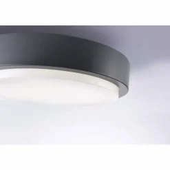 Paul Neuhaus Q-Serie Plafonnier Paul Neuhaus Q-LENNY LED Anthracite, 1 lumière, Télécommandes, Changeur de couleurs