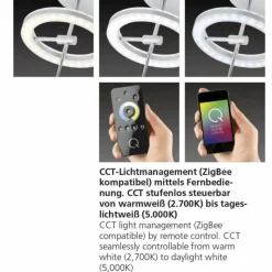 Paul Neuhaus Q-Serie Plafonnier Paul Neuhaus Q-AMY LED Acier inoxydable, 2 lumières, Télécommandes