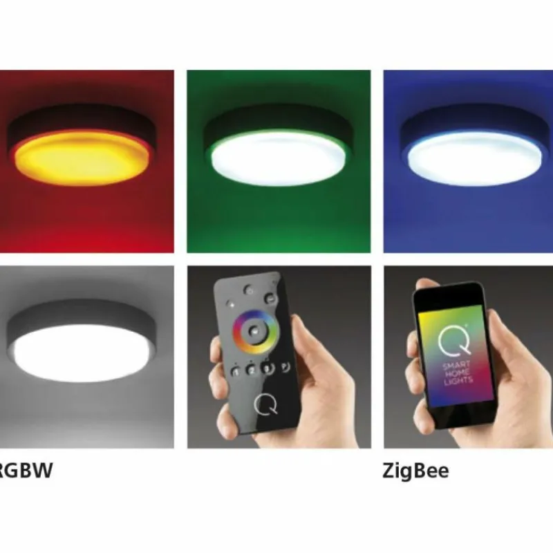 Paul Neuhaus Q-Serie Plafonnier Paul Neuhaus Q-LENNY LED Blanc, 1 lumière, Télécommandes, Changeur de couleurs