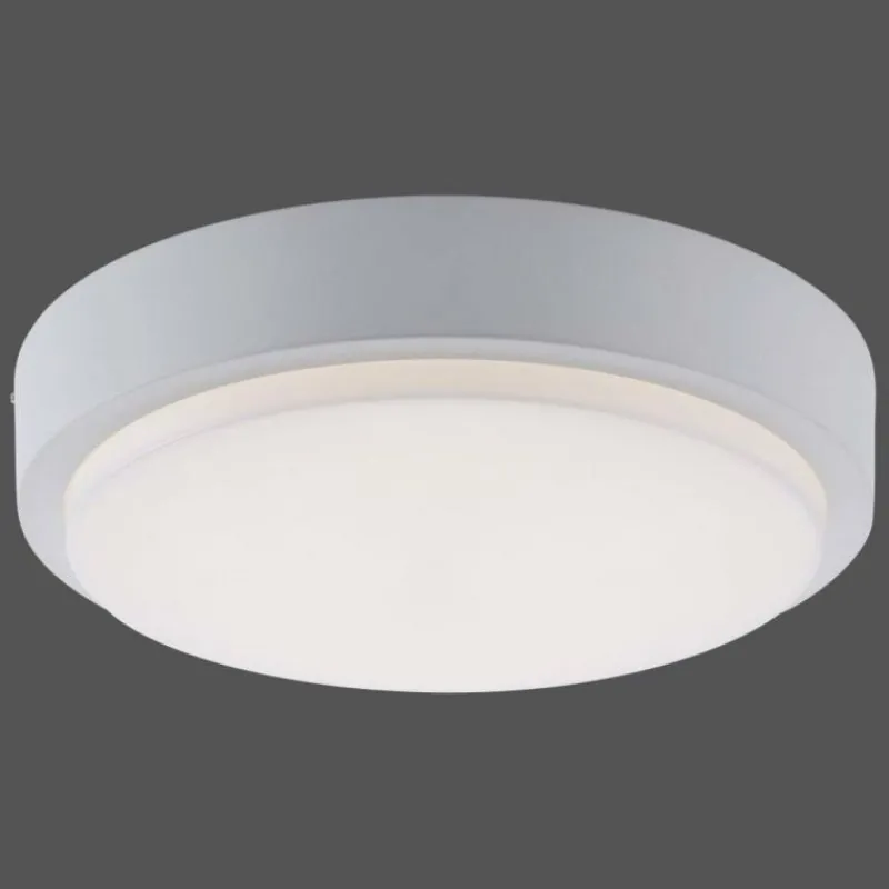 Paul Neuhaus Q-Serie Plafonnier Paul Neuhaus Q-LENNY LED Blanc, 1 lumière, Télécommandes, Changeur de couleurs