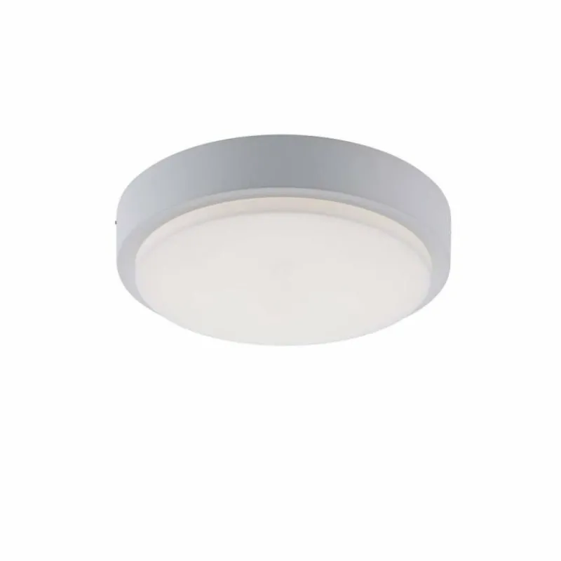 Paul Neuhaus Q-Serie Plafonnier Paul Neuhaus Q-LENNY LED Blanc, 1 lumière, Télécommandes, Changeur de couleurs