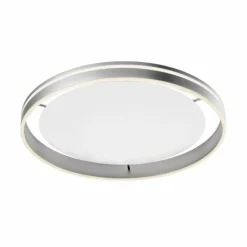 Paul Neuhaus Q-Serie Plafonnier Paul Neuhaus Q-VITO LED Acier inoxydable, 1 lumière, Télécommandes