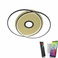 Paul Neuhaus Q-Serie Plafonnier Paul Neuhaus Q-AMIRA LED Noir, 1 lumière, Télécommandes