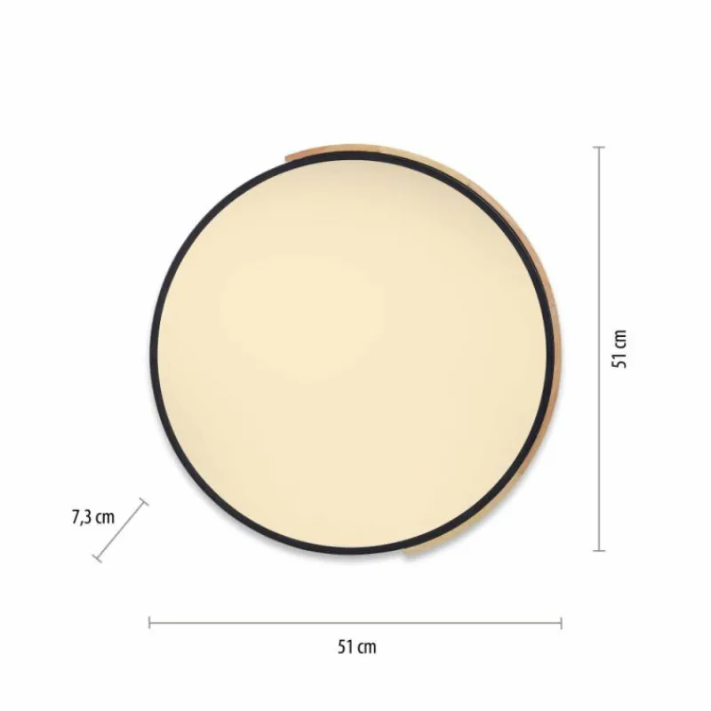 Paul Neuhaus Q-Serie Plafonnier Paul Neuhaus Q-BILA LED Écru, Noir, 1 lumière, Télécommandes