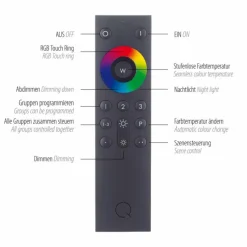 Paul Neuhaus Q-Serie Plafonnier Paul Neuhaus Q-ASMIN LED Noir, 1 lumière, Télécommandes
