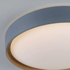Paul Neuhaus Q-Serie Plafonnier Paul Neuhaus Q-EMILIA LED Gris, Couleur bois, 1 lumière, Télécommandes