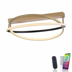 Paul Neuhaus Q-Serie Plafonnier Paul Neuhaus Q-BELUGA LED Or, 1 lumière, Télécommandes