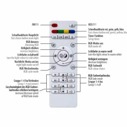 Luminaires Paul Neuhaus Plafonnier Paul Neuhaus SERPENT LED Noir, 1 lumière, Télécommandes, Changeur de couleurs* Éclairage Led