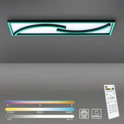 Luminaires Paul Neuhaus Plafonnier Paul Neuhaus SERPENT LED Noir, 1 lumière, Télécommandes, Changeur de couleurs* Éclairage Led