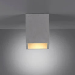 Luminaires Paul Neuhaus Plafonnier Paul-Neuhaus ETON Gris, Noir, 1 lumière* Plafonniers
