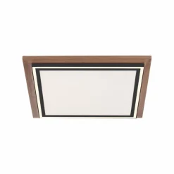 Lampes En Bois-Luminaires Paul Neuhaus Plafonnier Paul-Neuhaus PALMA LED Écru, Noir, 2 lumières, Télécommandes