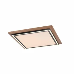 Lampes En Bois-Luminaires Paul Neuhaus Plafonnier Paul-Neuhaus PALMA LED Écru, Noir, 2 lumières, Télécommandes