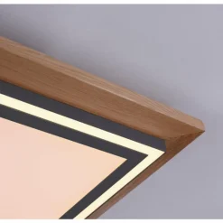 Lampes En Bois-Luminaires Paul Neuhaus Plafonnier Paul-Neuhaus PALMA LED Écru, Noir, 2 lumières, Télécommandes