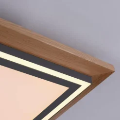 Lampes En Bois-Luminaires Paul Neuhaus Plafonnier Paul-Neuhaus PALMA LED Écru, Noir, 2 lumières, Télécommandes