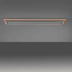 Lampes En Bois-Luminaires Paul Neuhaus Plafonnier Paul-Neuhaus PALMA LED Écru, Noir, 2 lumières, Télécommandes