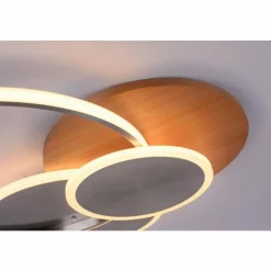 Lampes En Bois-Luminaires Paul Neuhaus Plafonnier Paul-Neuhaus PALMA LED Écru, Acier brossé, 1 lumière, Télécommandes