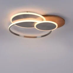 Lampes En Bois-Luminaires Paul Neuhaus Plafonnier Paul-Neuhaus PALMA LED Écru, Acier brossé, 1 lumière, Télécommandes