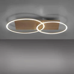 Lampes En Bois-Luminaires Paul Neuhaus Plafonnier Paul-Neuhaus PALMA LED Écru, Acier brossé, 2 lumières, Télécommandes