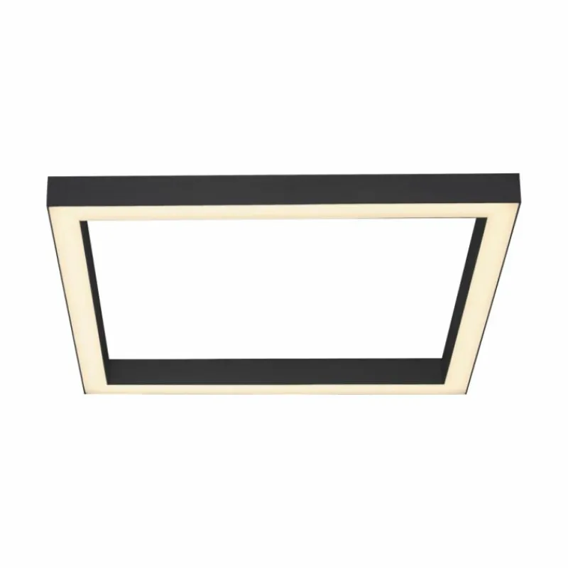 Luminaires Paul Neuhaus Plafonnier Paul-Neuhaus PURE-LINES LED Anthracite, 1 lumière, Télécommandes* Éclairage Led