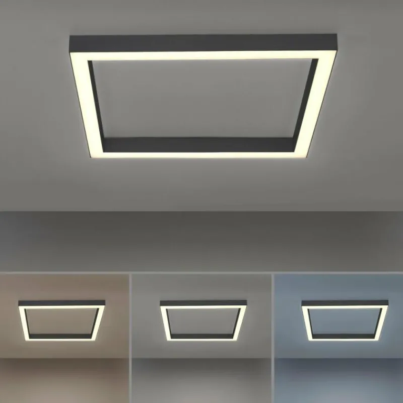 Luminaires Paul Neuhaus Plafonnier Paul-Neuhaus PURE-LINES LED Anthracite, 1 lumière, Télécommandes* Éclairage Led