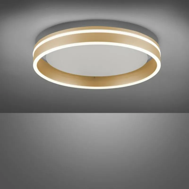 Paul Neuhaus Q-Serie Plafonnier Paul-Neuhaus Q-VITO LED Laiton, 1 lumière, Télécommandes