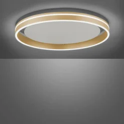 Paul Neuhaus Q-Serie Plafonnier Paul-Neuhaus Q-VITO LED Laiton, 1 lumière, Télécommandes