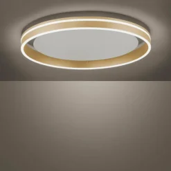 Paul Neuhaus Q-Serie Plafonnier Paul-Neuhaus Q-VITO LED Laiton, 1 lumière, Télécommandes