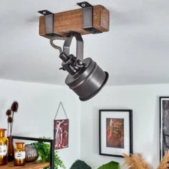 Lampes Industrielles-hofstein Plafonnier Pehefito Brun, Gris, Noir, 1 lumière