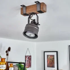 Lampes Industrielles-hofstein Plafonnier Pehefito Brun, Gris, Noir, 1 lumière