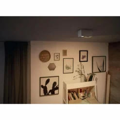 Luminaires Philips Plafonnier Philips Box LED Blanc, 2 lumières* Spots Et Projecteurs