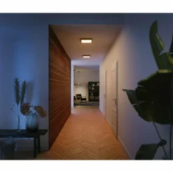 Luminaires Philips Plafonnier Philips Hue Aurelle LED Noir, Blanc, 1 lumière