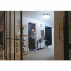 Luminaires Philips Plafonnier Philips Hue Cher LED Noir, 1 lumière, Télécommandes