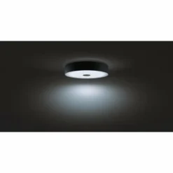 Luminaires Philips Plafonnier Philips Hue Fair LED Noir, 1 lumière, Télécommandes