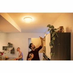 Luminaires Philips Plafonnier Philips Hue Flourish LED Blanc, 1 lumière, Changeur de couleurs