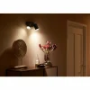 Luminaires Philips Plafonnier Philips Hue Fugato LED Noir, 2 lumières, Changeur de couleurs