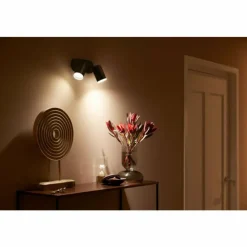 Luminaires Philips Plafonnier Philips Hue Fugato LED Noir, 2 lumières, Changeur de couleurs