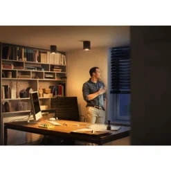 Luminaires Philips Plafonnier Philips Hue Pillar LED Noir, 1 lumière