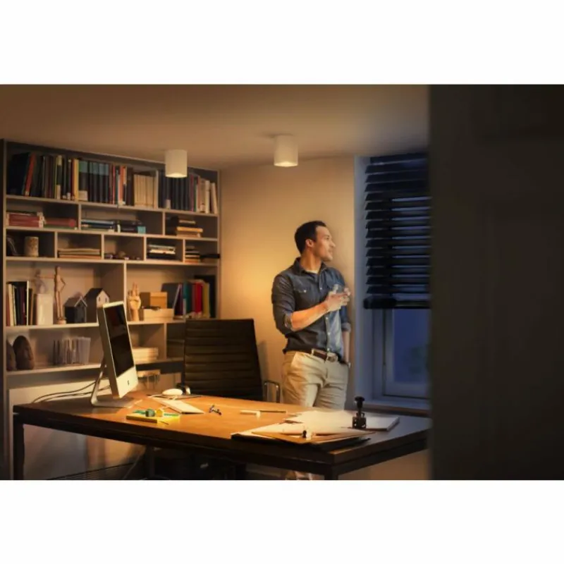Luminaires Philips Plafonnier Philips Hue Pillar LED Blanc, 1 lumière, Télécommandes